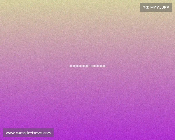 电讯报：格伊与水晶宫关系未破 1月可与欧洲豪门谈转会