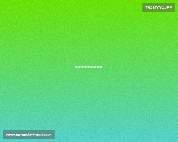 考试规则与新型考核模式的创新与挑战探讨