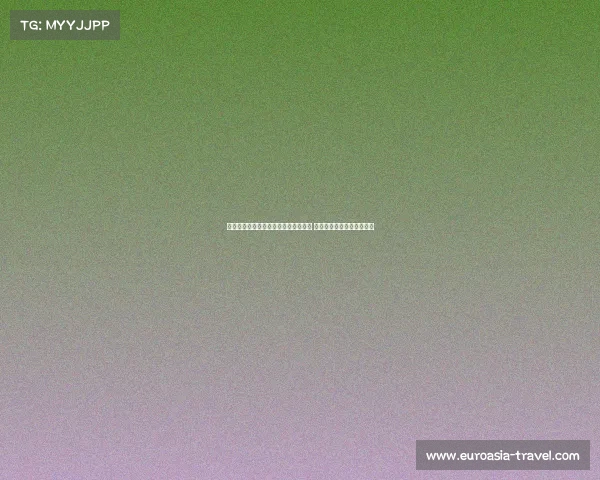 德天空：桑德兰与狼队有意引进瑞尔森 球员渴望加盟英超实现梦想