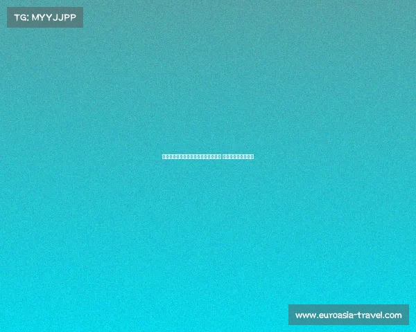 阿森纳哲凯赖什转会谈判进入关键阶段 谢什科交易暂时搁置