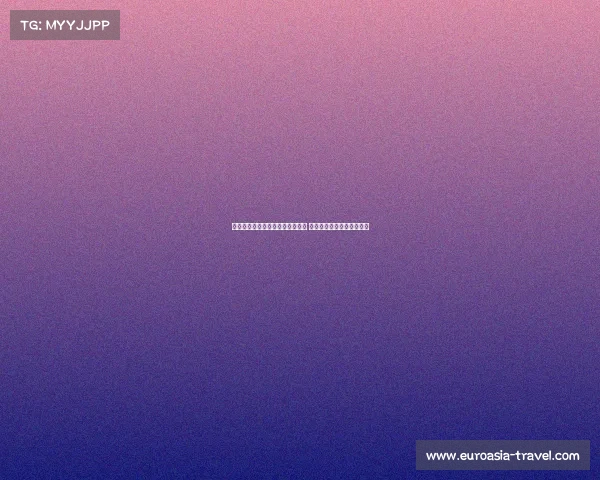 乌迪内斯与维特塞尔展开深度谈判 持续接触或迎来新转会动态