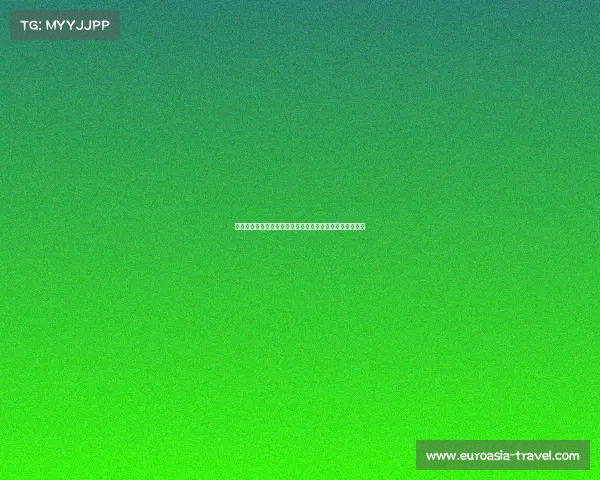 英超足球宝贝背后的故事：美丽与激情交织的足球文化探索